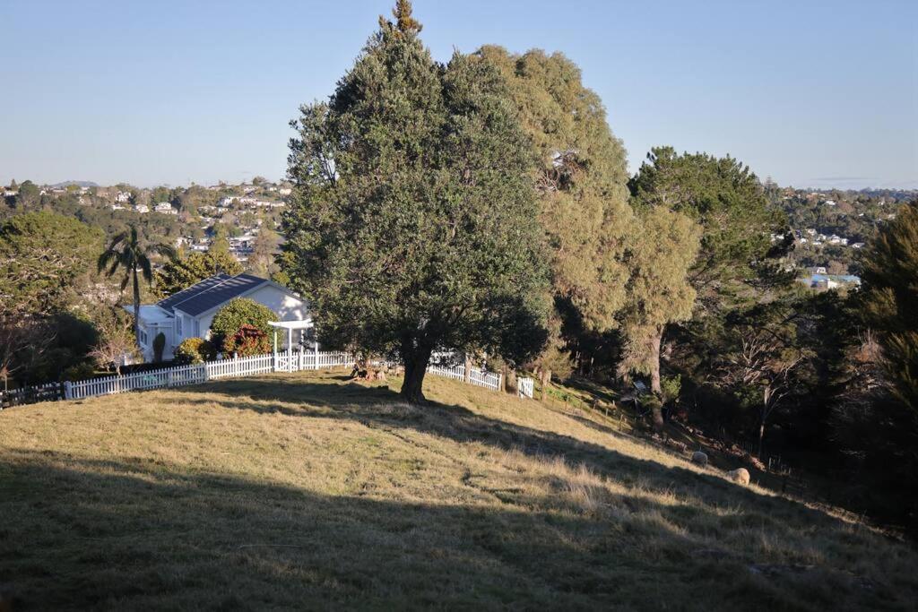 Modern Lifestyle Retreat With Stunning City View Auckland Eksteriør bilde